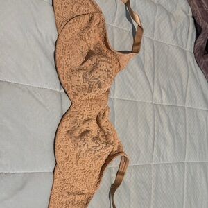 Wacoal Lace Underwire Bra in cream